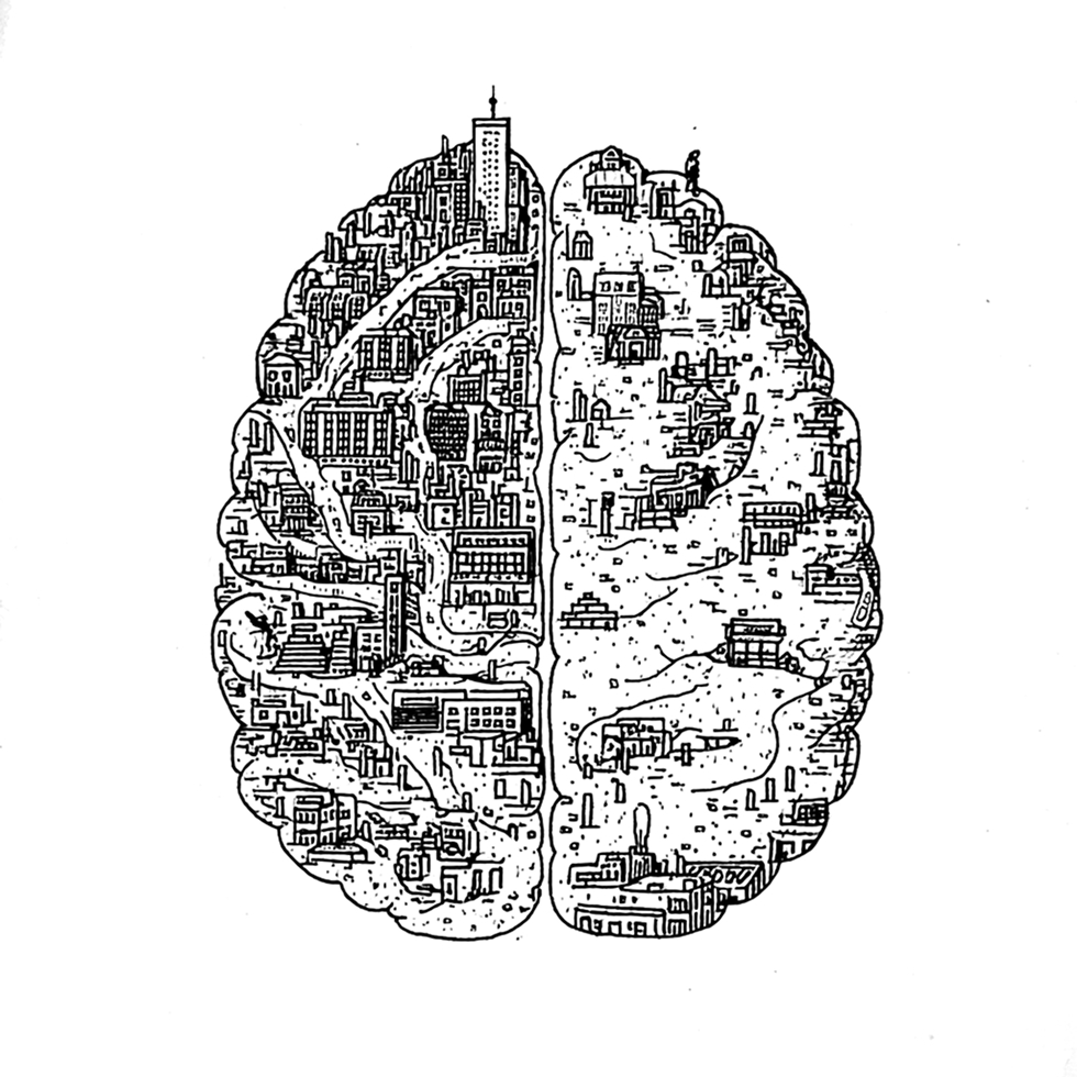 Hippocampus illustration